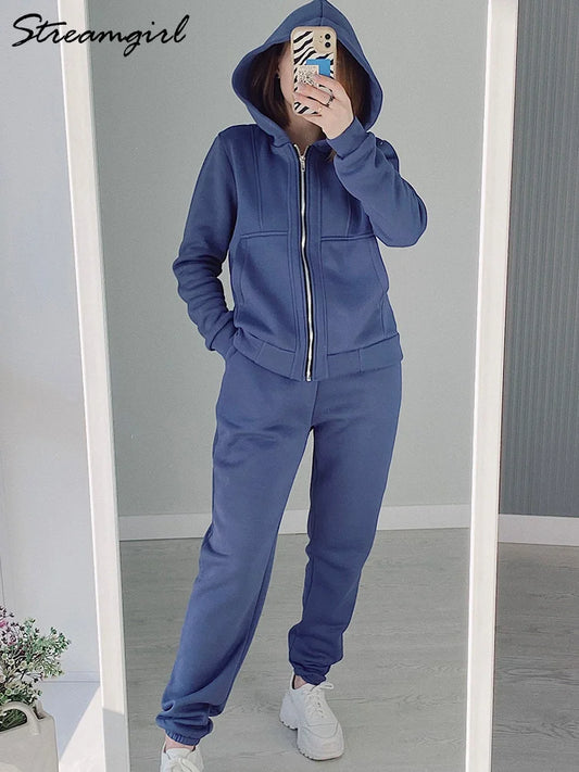 Dreamgirl Winter Velvet Tracksuit Two Piece Set For Women Sweatpants Sets Thick Women's Suit Warm Hoodies And Pants Sets Gray Women Suiting & Blazers