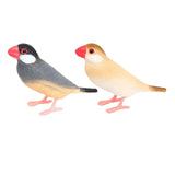 Simulation Bird Model Sculptures Home Decor Collection Small Bird Figures Toy Garden Bird Toy for Photo Props DIY Landscaping Decoration