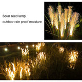 Solar Reed Lights Outdoor Fiber Light Waterproof Garden Lamp Simulation Landscape Lamps for Decoration Patio Garden